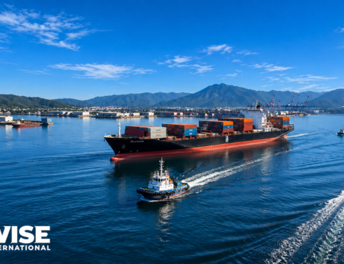Saturación en el puerto de Manzanillo: Caos Multifactorial